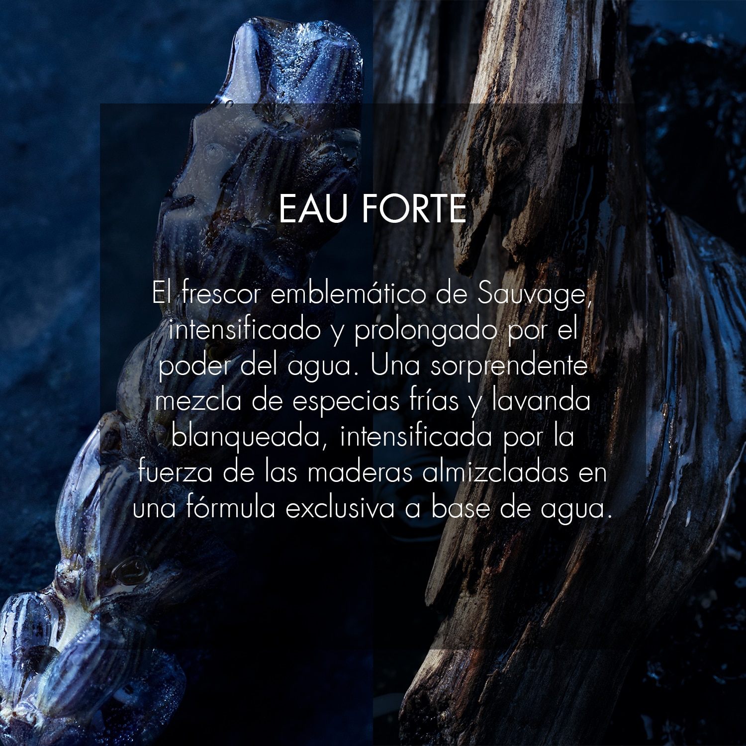 SAUVAGE EAU FORTE PERFUME PARA HOMBRE